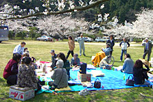 お花見（４月）