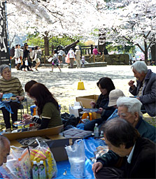 お花見（４月）